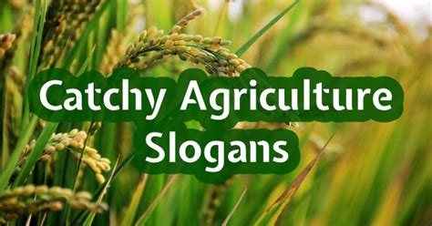 agriculture slogans tagalog|125 Catchy Agriculture Slogans and Great Taglines.